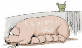 母猪漫画,趣味解读动物世界里的温馨瞬间